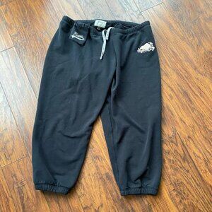 roots womens jogger